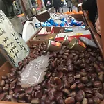 Du Galtz * Κολμάρ