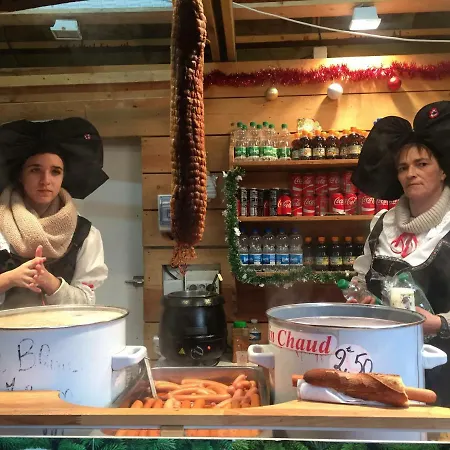 Du Galtz Apartman Colmar