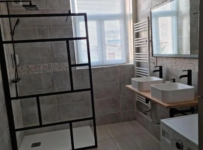 شقة Du Galtz كولمار