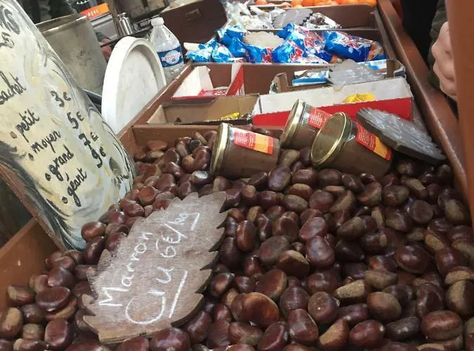 Du Galtz * كولمار